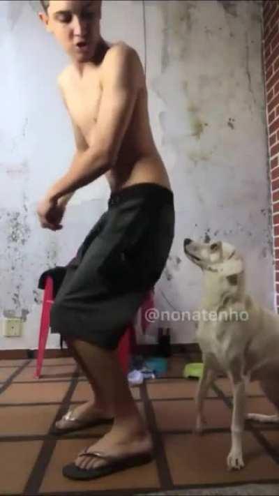 WCGW annoying Fleas?