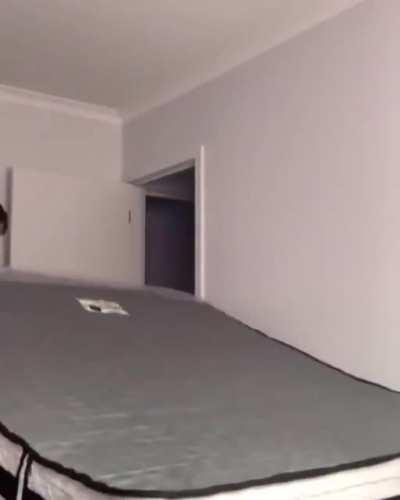 WCGW Unwrapping a rolled bed indoors