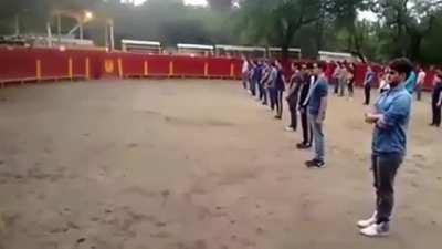 Teacher shows that a bull won’t attack anyone if everyone remains calm