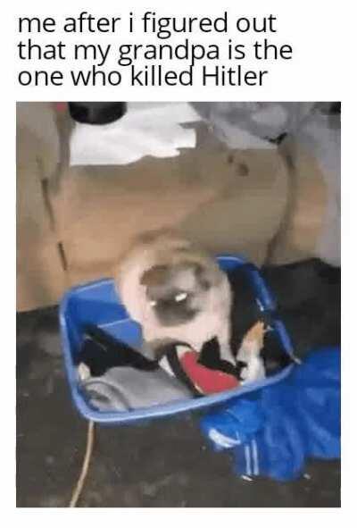 Im so proud of this community