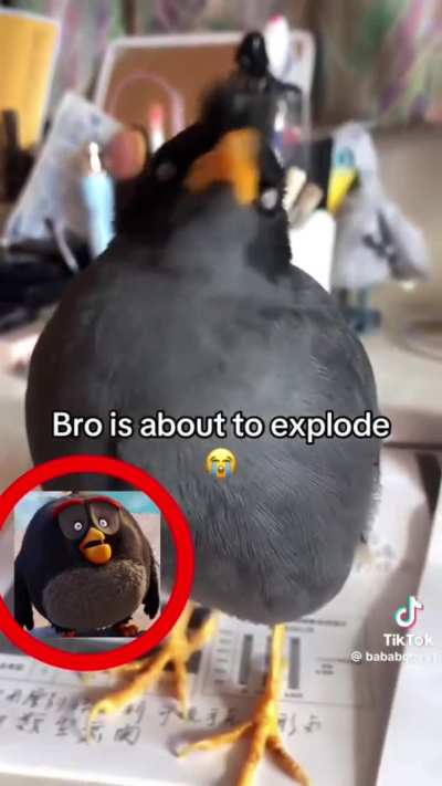 Voice sound a likes pt.6