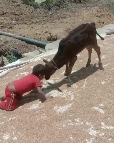 Covid immunity starts here.. !!!!