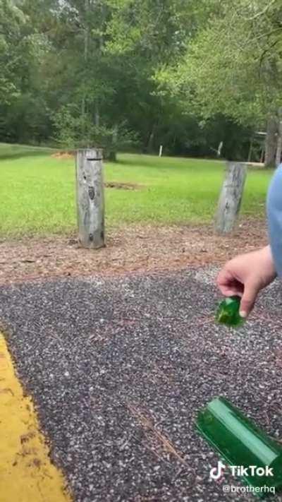 to humanly release a mouse.