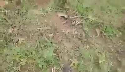 All the fun things we do as kids. Stupid yet fun and no regrets.