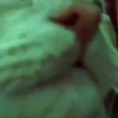 Mr West waking up my cat, he loves it.