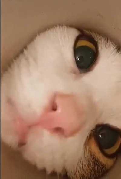 Hello ! is anyone there?