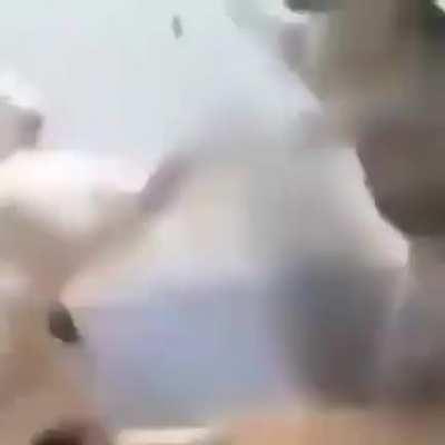 Yeah cats in fast motion