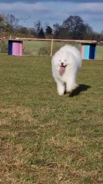 POV: Yuki kills u with high impact love