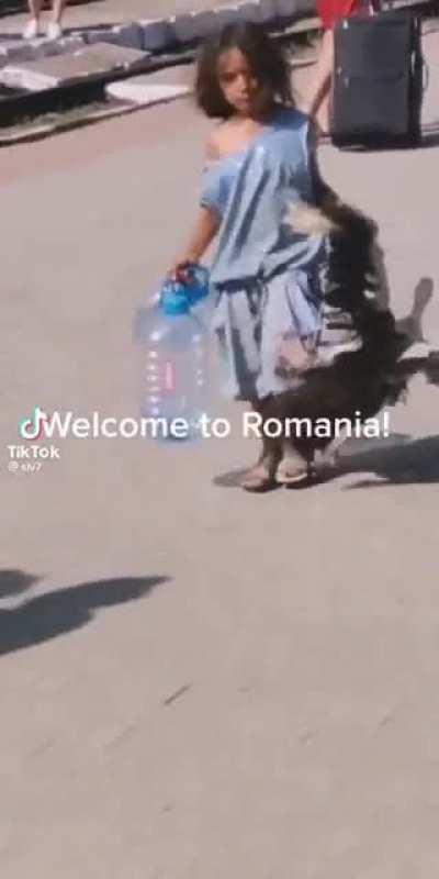 cea mai normala persona din mamaia