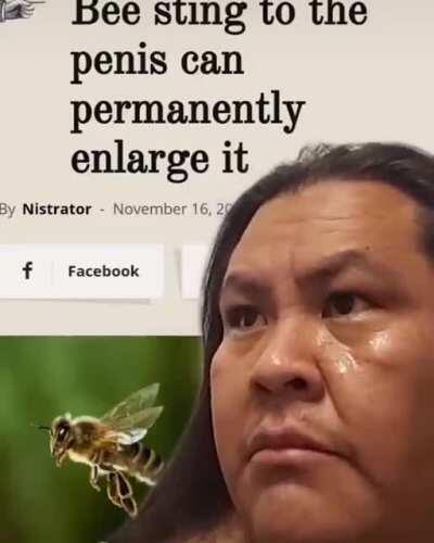 Posting BEE until BEE mount