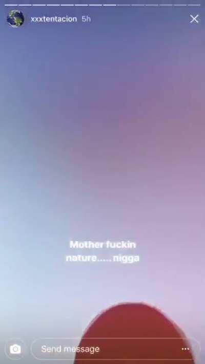 This always puts a smile on my face 🕊