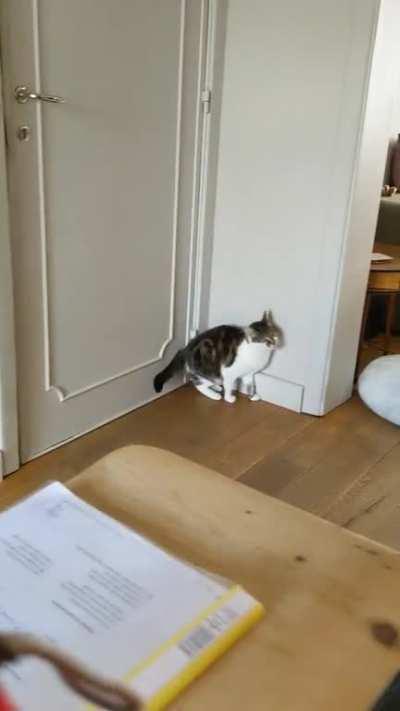 She likes to do parkour