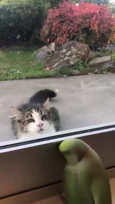 The Ultimate Hide & Seek