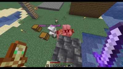 The worlds greatest troll on Minecraft