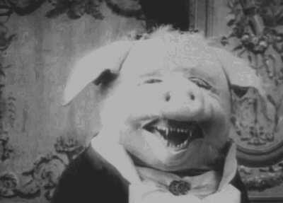 I don't even know what this is.