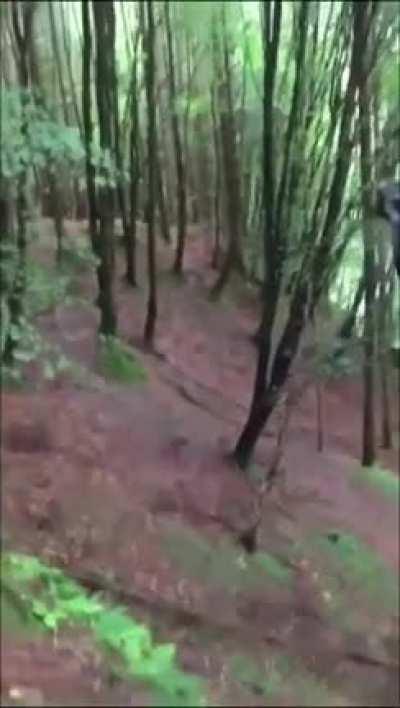 WCGW if you swing on a homemade zipline