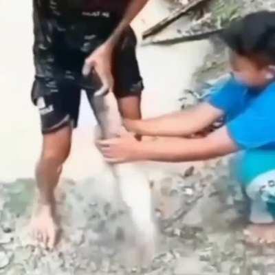 sorry for the cringy bgm