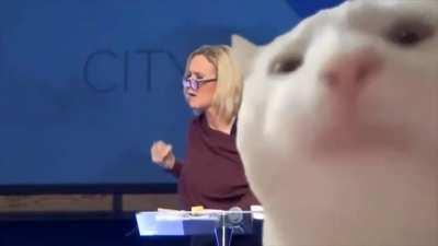 Духовный советник Трампа Паула Уайт и её молитва за победу на выборах