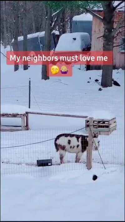 Nelson was like “I’ll do ya one better”