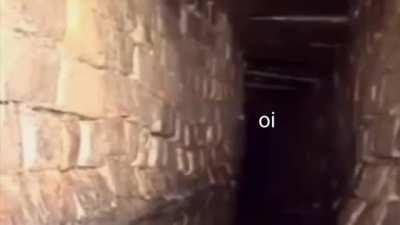 Sou autista por ter editado isso?