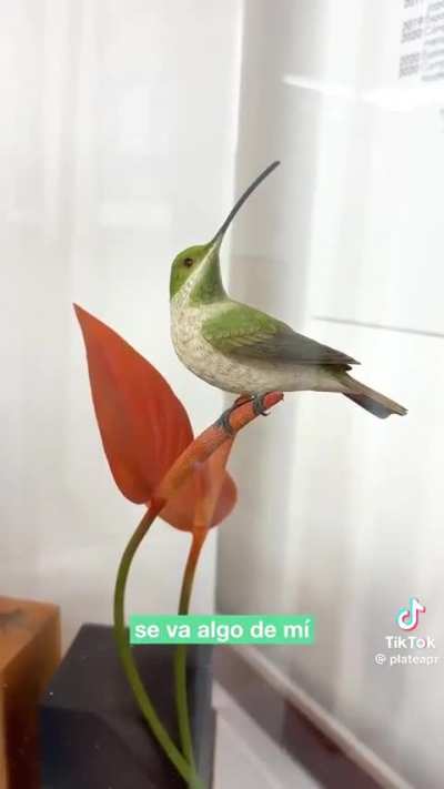 Alex Ríos- Tallador de aves