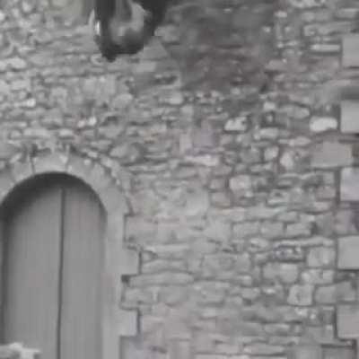 Милый видосик на ночь