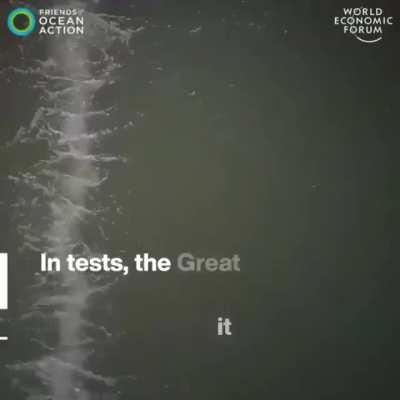 What a great invention.