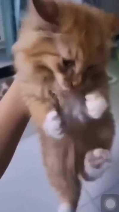 a thing that i did today