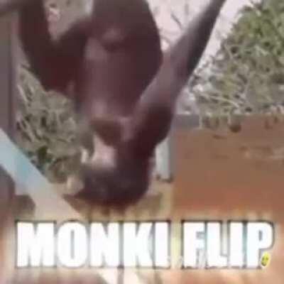 Monkey