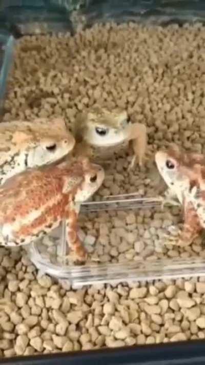 A mistake has been made