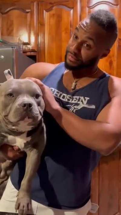 Not a thought running through that chonky head. Baloo is just happy to be. 🐾🥰