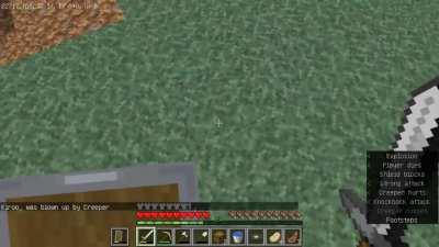 My friend tried helping me with a Creeper