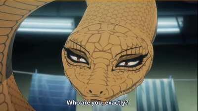 Jotaro in beastars??!!