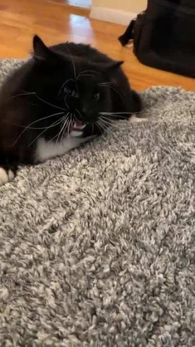 He shows teefies like this whenever he plays