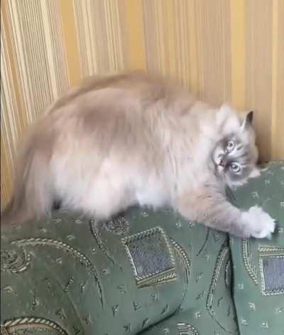 When it comes to dancing, I think I'm the best at it.