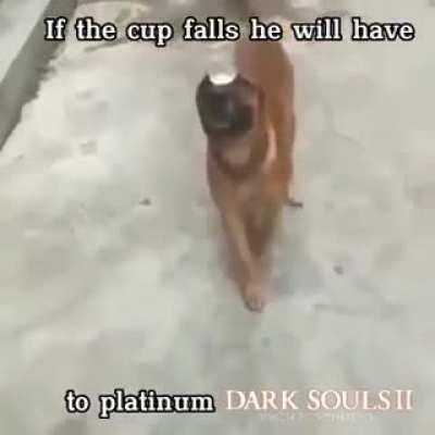 we keep asking what the dog doing but we never ask can the dog do it 😔