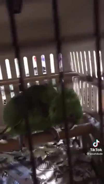 A drone impersonates a human baby after being captured