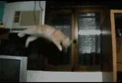 Sailing away into the void