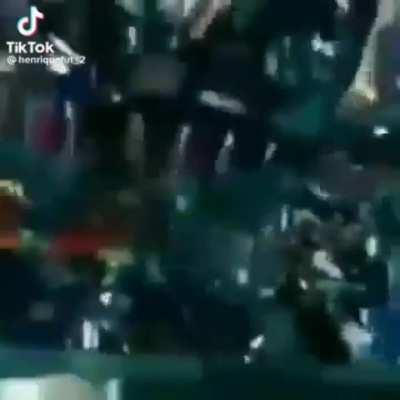 ESTILOZAP - Video #7864