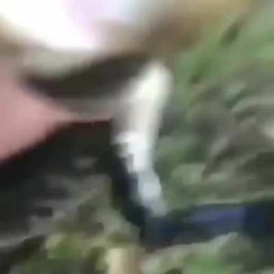 My croc people need me