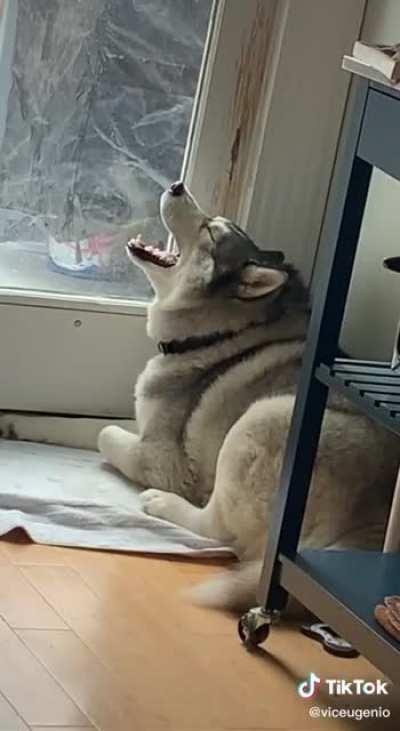 Heard Loud and Clear