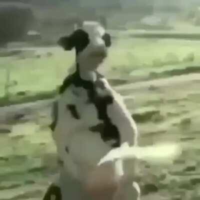 A battle to end all battles