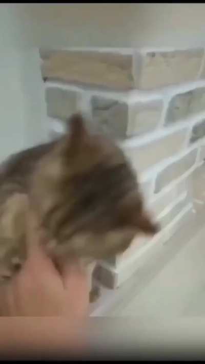 Huff kg r st ihictsyvjvyze4fu?!??