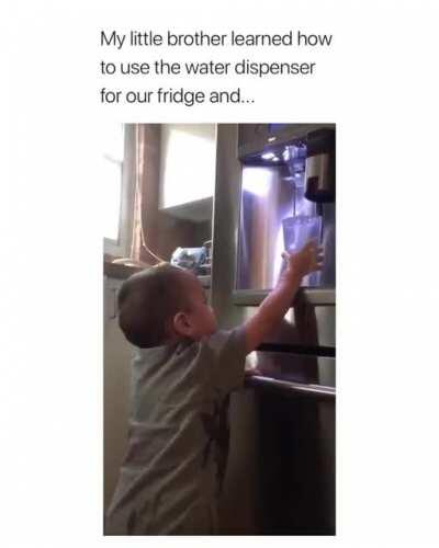 Using the water dispenser