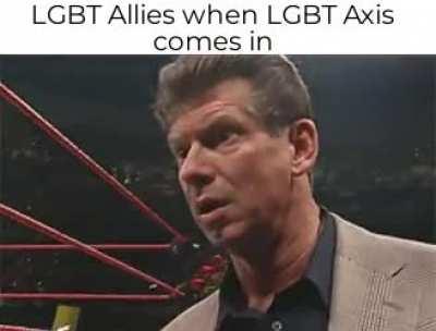 I like to imagine the LGBT axis as homofobes, and we all know what the allies did to those cunts!
