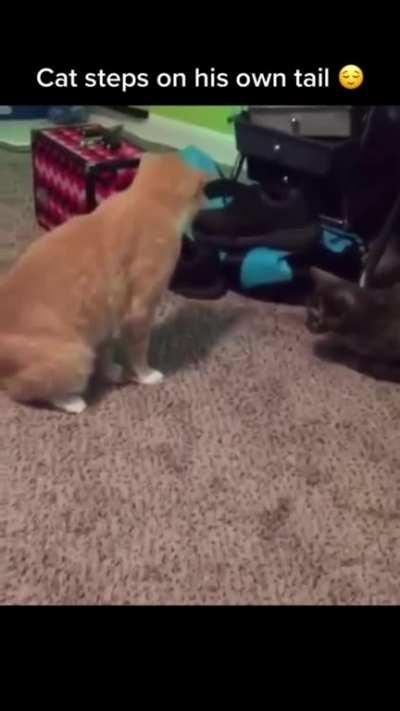 I wasn’t expecting that to happen