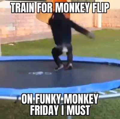 Oo aaAA monke flip Friday