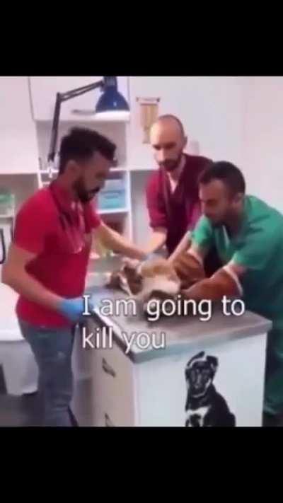 to negotiate with the vet