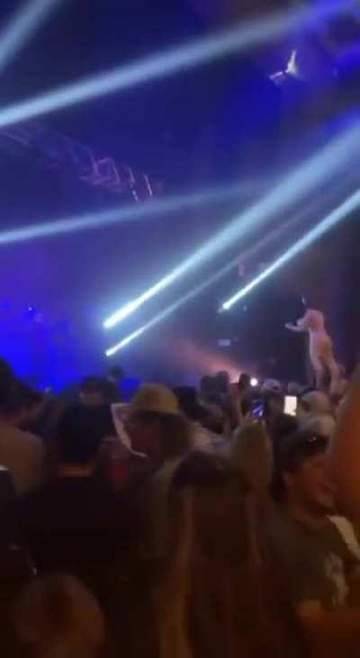 Biden as popular as ever.