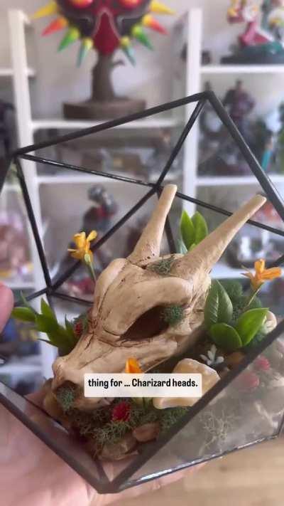 Alanah likes Charizard heads